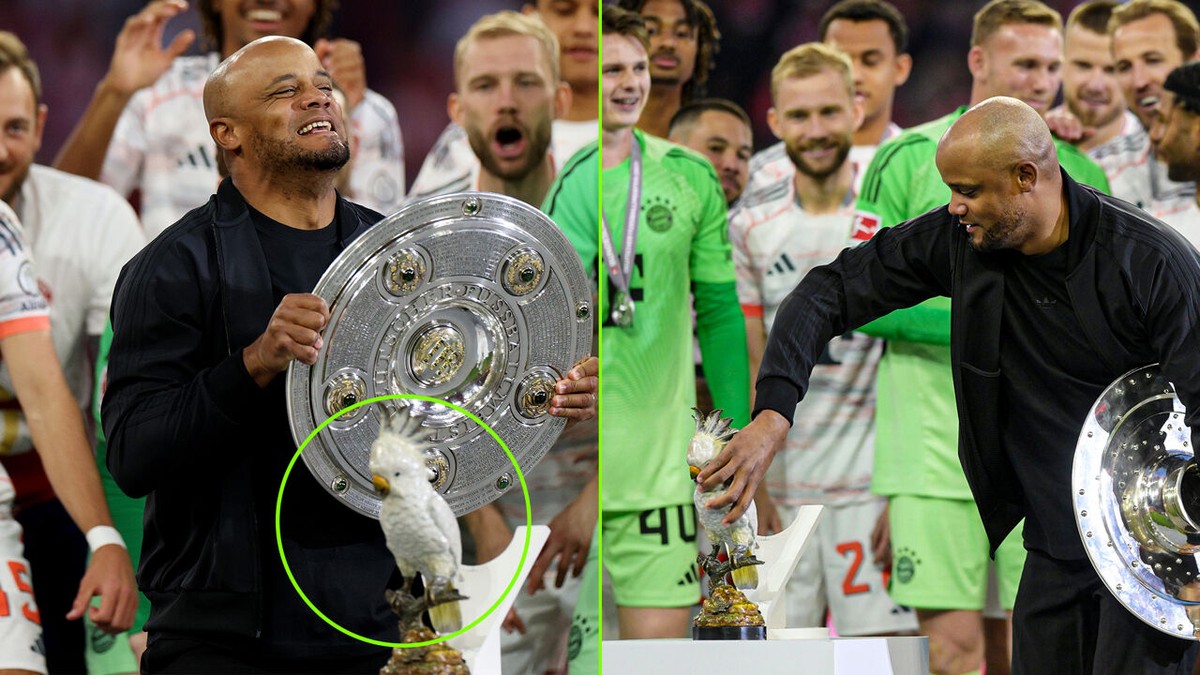 Het mysterie van het titelfeest opgehelderd: waarom haalde Kompany plots een vogelbeeldje boven?